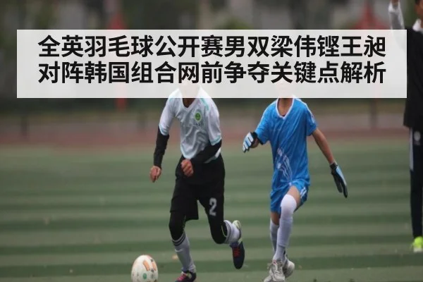全英羽毛球公开赛男双梁伟铿王昶对阵韩国组合网前争夺关键点解析